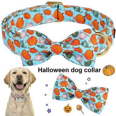 Boy Dog Collar Blue Dog Collar Blue Dog Collars Boy Dog 