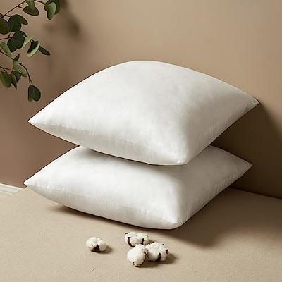Deconovo 18x18 Pillow Inserts(Pack of 2), Soft Fluffy Plump Pillow Stuffer,  18 Inch Square Pillow Inserts, White Throw Pillows for Couch Bed Sofa