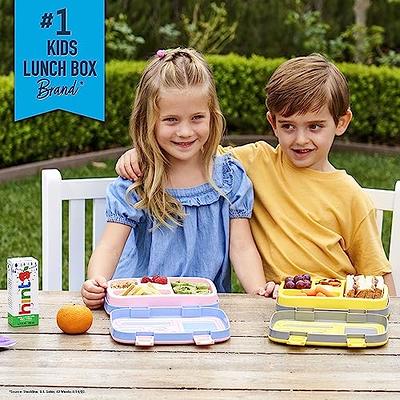 Insulated Food Jar WayEee Vacuum Bento Box Lunch Containers 16 oz for Kids  Adults, Stainless Steel Leak Proof Wide Mouth Food Soup Thermos with Spoon  Keeps Food Hot Cold for School Trav 