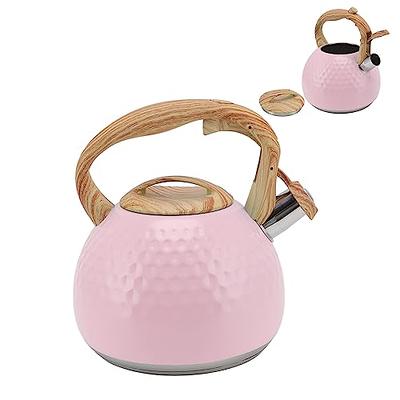 Stove Whistling Kettle, Whistling Kettle Induction Tea Kettle, 3L