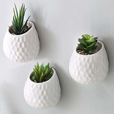 Monroe Lane Coastal Dried Plant Orbs & Vase Filler - Set of 2