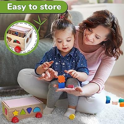 Wooden Shape Sorter Toy Wooden Montessori Toys for 3 4 5 Year Old Kids,  Learning Sensory Bin Toys, Shape Toys, STEM Toys 