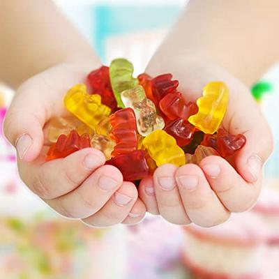 Boston Fruit Slice Individually Wrapped Sugar Free Gummy Candy 2lb Boxed  Assortment