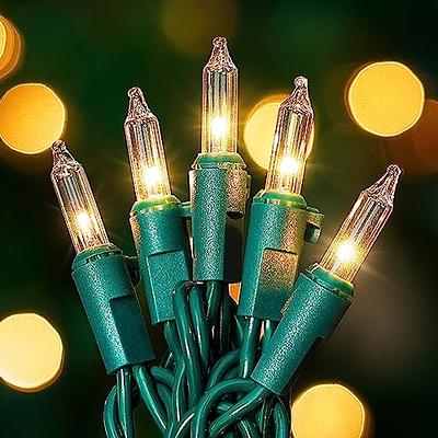 Brizled Color Changing Christmas Lights, 33ft 100 LED Christmas Tree Lights  with Remote, Dimmable RGB Lights String, USB Xmas String Lights, Indoor  Decorative Lights for Xmas Wreath Year-Round Holiday - Yahoo Shopping