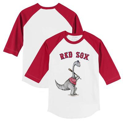 Men's Champion Gray Salem Red Sox Jersey Long Sleeve T-Shirt - Yahoo  Shopping