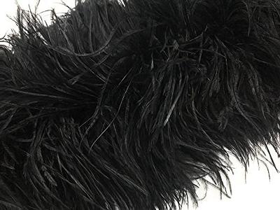 Black Ostrich Feather Trim 2 PLY