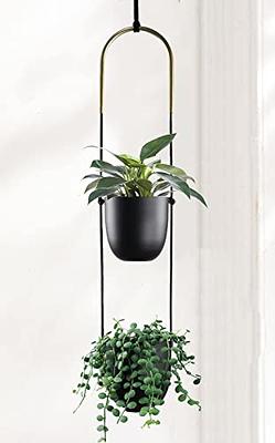 Style Selections 8-in Gold Steel Traditional Plant Hook(s) in the