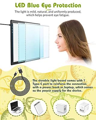 A4 Light Pad for Diamond Painting, Light Board, Tracing Light Box by  Magnetic for Weeding Vinyl, Ultra-Thin Copy Board with 3 Adjustable  Brightness for Drawing, Sketching, Animation - Yahoo Shopping