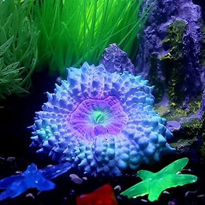 100 Pcs Fish Tank Rocks Glow Blue, Fish Tank Stones Accessories Gravel with  10 P