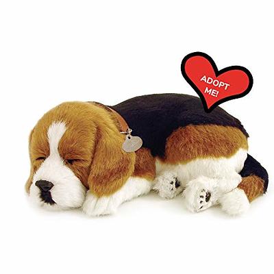 Pawty Dog Toys - Chewy Pawtton - Funny Cute Fashion Dog Toy - Unique Plush Toy with Squeaker for Medium Large Dogs - Dog Gift