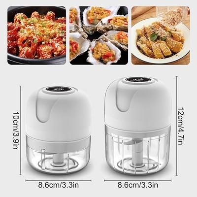 Electric Mini Garlic Chopper, 100ML USB Mini Food Chopper Garlic Mincer,  Vegetable Chopper, Onion Chopper, Portable Small Food Processor for Garlic