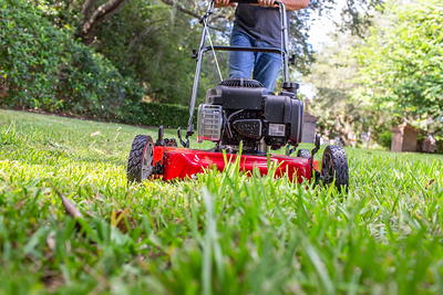 Black Max 21-inch 125cc Gas Push Mower with Briggs & Stratton Engine  (Assembled Product Weight 46.9 lb; 22.10-inch Height) - Yahoo Shopping