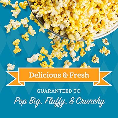 Popcorn Popper Kit - All In One Buttery Popcorn 8 oz