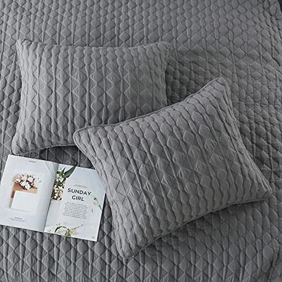 WDCOZY Beige Queen Size Quilt Bedding Sets with Pillow Shams, Cream Tan  Lightweight Soft Bedspread Coverlet, Quilted Blanket Thin Comforter Bed  Cover