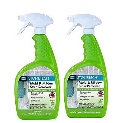 Wet & Forget Liquid Outdoor Surface Cleaner Ready to Use Moss Mold Mildew &  Algae Stain Remover 