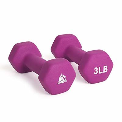 A Pair Dumbbell Barbell Neoprene Coated Weights 6 Pound Purple - 12lbs -  Yahoo Shopping