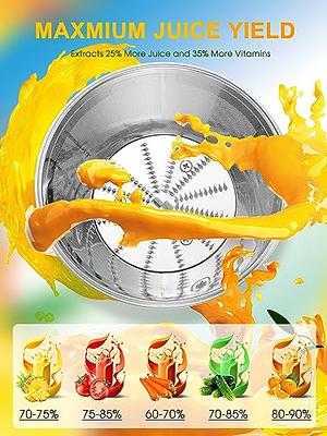 1200W 3 Speeds Centrifugal Juicer Machines Vegetable and Fruit