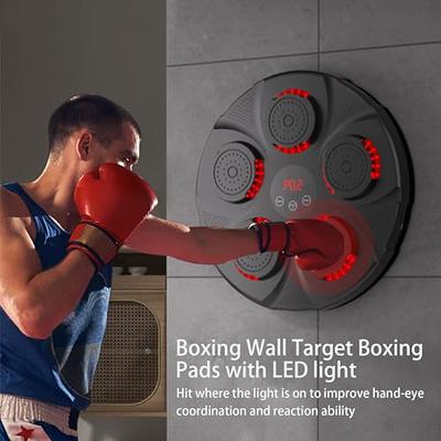 Boxing Machine, Smart Boxing Machine Wall Mounted with Music Light and  Boxing Gloves,for Children, Youth and Adults for Home Exercise/Boxing