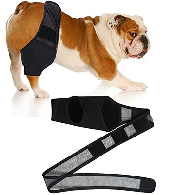 NeoAlly® - Rear Leg Hock Brace, Dog Leg Brace for Rear Leg, Hock & Ankle  Support for Large Dogs, Dog Brace for Torn Acl and Ccl, Long Version,  Medium