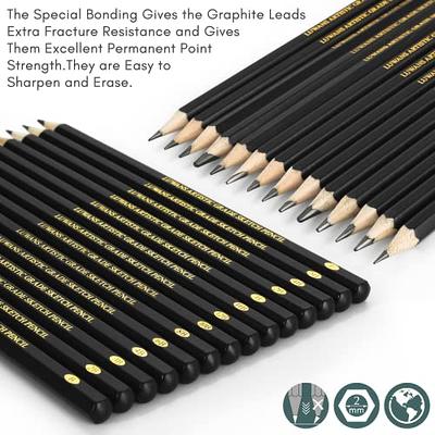 Drawing Pencils Set of 14 (B - 12B) Sketching Pencils for Drawing
