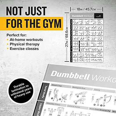 NewMe Fitness Workout Posters for Home Gym, Dumbbell Exercise Posters for  Full Body Workout, Core Abs Legs Glutes & Upper Body Training Program (Vol  1) - Yahoo Shopping