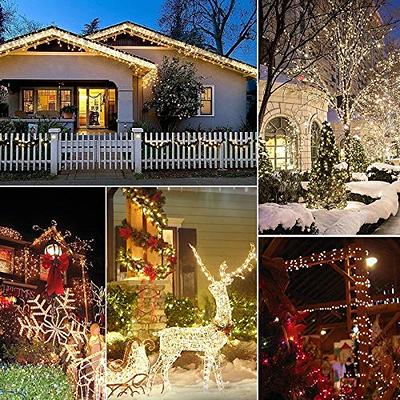 QZYL 410 FT Christmas Lights Outdoor, 1000 LED Long Blue Christmas Lights  Decorations, Waterproof Christmas Tree Lights, Remote Control Christmas  Fairy Lights for Garden Patio Holiday Christmas Decor 