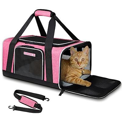 Bejibear Large Cat Carrier For 2 Cats, Oeko-Tex Certified Soft Side Pet  Carrier For Cat, Small Dog, Collapsible Travel Small Dog