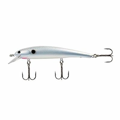 BANDIT LURES Multi-Species Minnow Jerkbait Fishing Lure, Fishing  Accessories, 3.5, 1/3 oz, Transparent Gizzard Shad, (BDTB-SHADD08) - Yahoo  Shopping