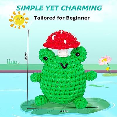 Chunyee Crochet Kit for Beginners, Crochet Kit with Step-by-Step Video  Tutorials, Crochet Kit for Adults and Kids, Crochet Animal Kit Came with an