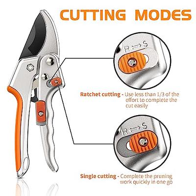 Pruning Shears: The Go-To Garden Tool