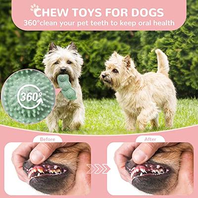 Puppy Chew Toys for Teething, Dog Chew Toys 6 Pack, Squeaky Dog Toy, Small  Dogs Chew Toys, Puppies Teething Toys for Teeth Cleaning & Gum Massage