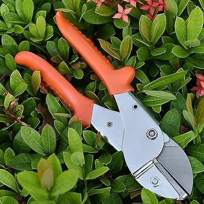 KAJUDA 8 Pruning Shears, Professional Bypass Garden Shear Hand Pruners  Gardening Shears Clippers for Plants, Flower Cutter Florist Scissors  Trimming