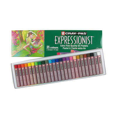 HIPPIE CRAFTER Soft Chalk Pastels Art Supplies Set of 24 Color Pastels for  Artists Non Toxic