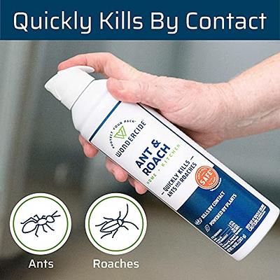 Eco Defense USDA Biobased Pest Control Spray - Ant, Roach, Spider, Bug  Killer and Repellent - Natural Indoor & Outdoor Bug Spray - Child & Pet