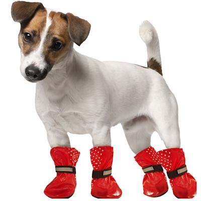 doggy wellies