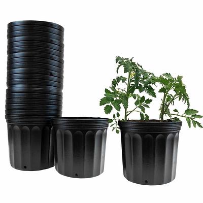 1 Gal. plastic Nursery Pots (20-Pack)