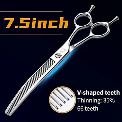 Professional Hair Scissors 5 Inch with Extremely Sharp Blades, 440C Steel  Hair Cutting Scissors, Durable, Smooth Motion & Fine Cut, Barber Scissors