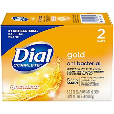 Dial Professional Gold Antibacterial Liquid Hand Soap, 1 Gallon Refill  Bottle