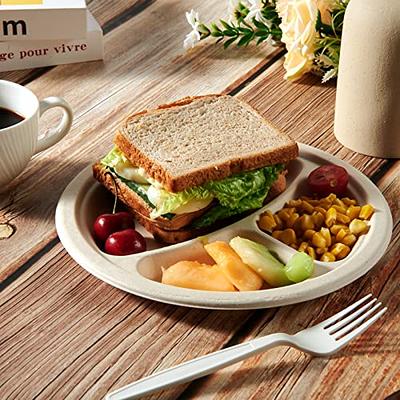 Vplus 150 Pack Compostable Bagasse Plate, Disposable Paper Plates, 10 inch  