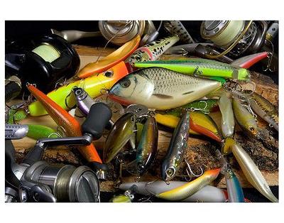 Art Print: Fishing Lures for Predator: 9x12in - Yahoo Shopping