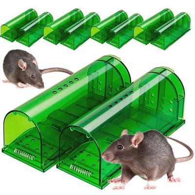 Motel Mouse Humane Mouse Traps No Kill Live Catch and Release 2 Pack -  Reusable, Easy to Use & Clean, No Touch Release, Sensitive Includes  Cleaning