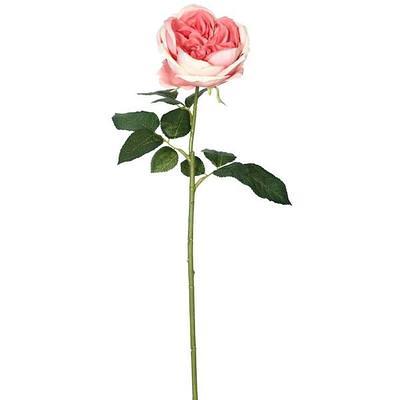 Vickerman 607183-26 Light Pink Rose Stem Pk/6 (FA191379) Home Office  Flowers with Stems