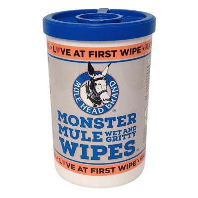 Stoner Bug Eraser Wipes 10-Count Car Exterior Wash in the Car Exterior  Cleaners department at