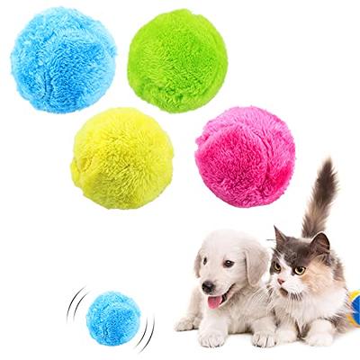 NETRCO Interactive Dog Toys Ball, Active Wicked Dog Ball with Remote  Control and LED Flash Light, Automatic Rolling Dog Ball, Self Moving  Bouncing Ball for Medium Dog, 2 Modes, USB Rechargeable 