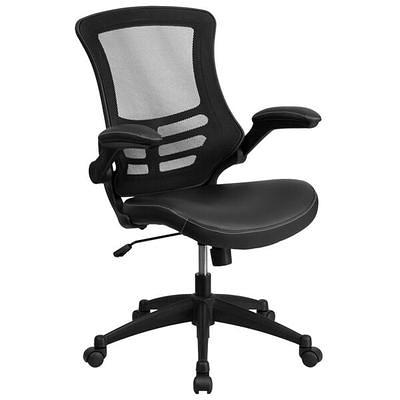   Basics Low-Back Computer Task Office Desk Chair with  Swivel Casters, 18.7D x 17.7W x 38.2H, Blue : Office Products