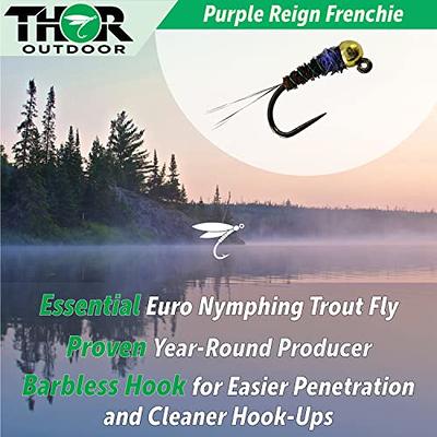 Thor Outdoor Purple Reign Frenchie Fly Fishing Nymph, Hook Size #14-3 Pc  Eco Pack - Bead Head Euro Jig Fly Kit for Trout and Panfish - Yahoo Shopping