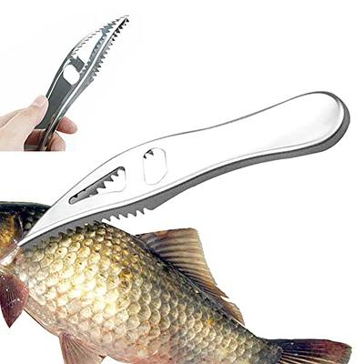 Stainless Steel Fish Scale Scrapers, Durable Fish Scale Removers