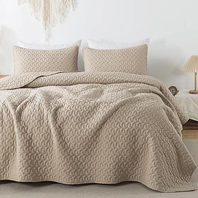 WDCOZY Beige Queen Size Quilt Bedding Sets with Pillow Shams, Cream Tan  Lightweight Soft Bedspread Coverlet, Quilted Blanket Thin Comforter Bed  Cover
