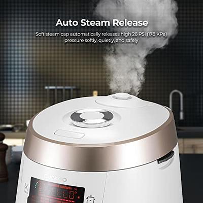 6-Cup Electric Automatic Rice Cooker with Stainless Steel Pot