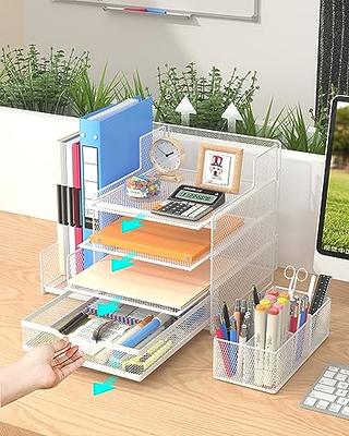 VIVSOL Desk Organizer with Mesh File Holder, 4-Tier Office